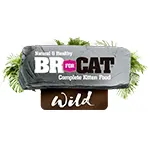 logo br for cat wild kitten